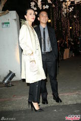 组图：张震大婚嘉宾众多 舒淇李安刘嘉玲等道贺