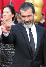 高清图：班德拉斯夫妇甜蜜亮相奥斯卡金像奖红毯