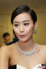 高清组图：中华小姐火辣竞选 温哥华佳丽夺冠