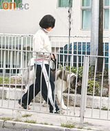 幻灯图：张敬轩关智斌感情升温 香港同居筑爱巢