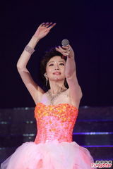 组图:单紫宁个唱纪念邓丽君 关礼杰李国祥捧场