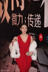组图：2012新浪微博之夜红毯-颜丹晨