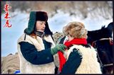 组图：《香木虎》精美剧照 实景拍摄上演雪地深情