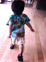 六一明星宝宝之你猜你猜你猜猜之一