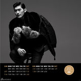 组图：张翰2013台历写真展贵族气质