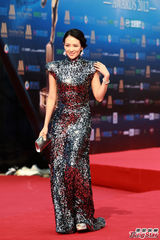 组图：导演协会表彰大会举行 徐峥陶虹恩爱亮相