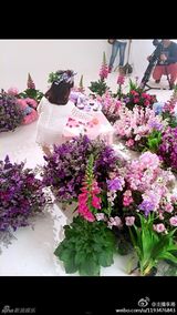 组图：王诗龄化身白衣小天使 发起公益免费盒饭