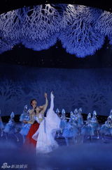 高清图：河北电视台春节联欢晚会精彩纷呈