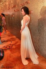 组图：张静初出席活动典雅长裙秀美背