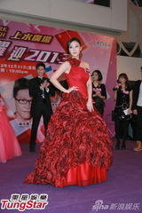 组图：苏永康钟嘉欣与民众跨年 岑丽香等盛装