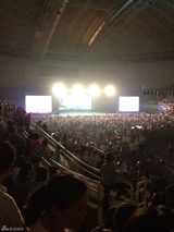 现场组图：张信哲梁静茹演唱会被扔水瓶凳子