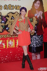 组图：徐子珊亮相《2013我爱HK恭喜发财》团拜