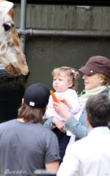 幻灯图：妮可基德曼携女游玩动物园向长颈鹿喂食