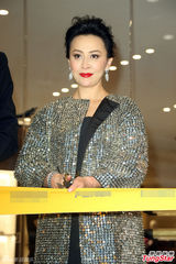 组图：刘嘉玲闪耀装扮尽显华贵 没想过戛纳封后