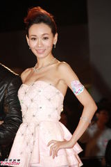 高清组图：TVB巡礼众星云集 杨怡徐子珊斗艳