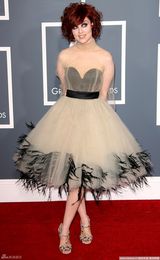 高清图：格莱美红毯 安娜-奈里克蓬蓬纱裙俏皮