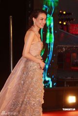 幻灯：香港金像奖颁奖红毯 舒淇低胸长裙气质优雅