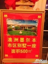 组图：网传泉州新娘嫁妆闪瞎双眼 金手臂是标配