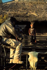 高清组图：《金凤花开》剧照之戏外情趣篇