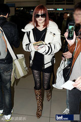 组图：少女时代KARA为赴K-POP演唱会亮相机场