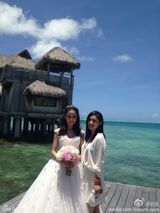 组图：众星云集佟丽娅婚礼 王宝强携娇妻出席