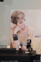 组图：梅艳芳生前珍藏珠宝首饰曝光