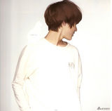 高清图集：新生代偶像组合SHINee新年月历青春洋溢