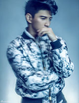 盘点：吴奇隆2013大片集锦 不老男神风格迥异