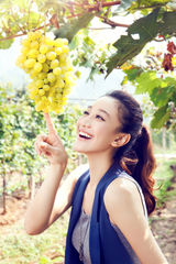 组图：曾泳醍旅行大片 高空赏景享受奇妙之旅