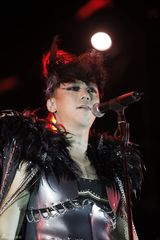 组图：“怒放”摇滚演唱会举行 乐迷共忆青春岁月