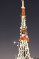 组图：新浪娱乐探访首尔 首尔塔乐天世界风光一览