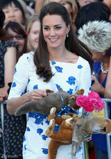 组图：凯特王妃随威廉出游 登战斗机驾驶舱勇猛