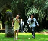 组图：《花非花》有望多国播出 影迷自制宣传片