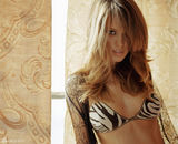 高清图：超模佩特拉-内姆科娃写真透视内衣出镜