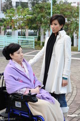 张智霖谢天华出演料理亲兄弟 《鱼跃在花见》谱亲情