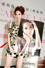 幻灯图：靓模林莉拼奇招博宣传 捐款慈善机构