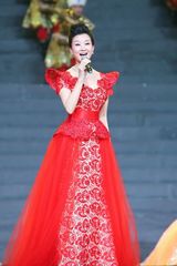 高清组图：双拥晚会 宋祖英《大路越走越宽阔》