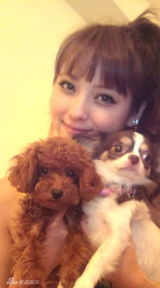 幻灯图集：日本人气美女佐佐木希生活照集锦