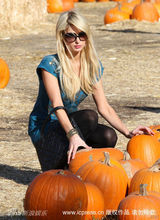 幻灯图：帕丽斯-希尔顿南瓜地拾趣 迎接万圣节