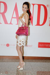 组图：吴佩慈优雅裙装获选最值得珍藏包代言人