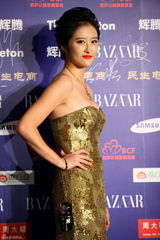 组图：群星亮相BAZAAR明星慈善夜红毯星光熠熠