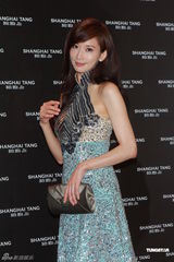 组图：林志玲长裙亮相否认整容 胡兵做电影监制