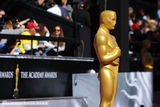 组图：第83届奥斯卡红毯 小金人吸引眼球