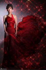 组图：女星叶倩云礼服写真星范十足