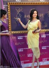 组图：陈廷嘉淡黄裙出席风尚权力盛典显温婉