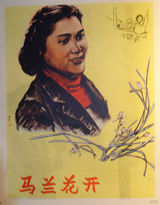 资料：新中国电影22大明星—秦怡