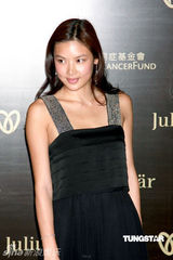 幻灯图：熊黛林李玟乐基儿何超仪等齐聚慈善晚宴