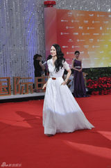 组图：章子怡优雅亮相为北京国际电影节打头阵