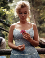 组图：梦露与前夫米勒罕见写真 林中娇憨小女人