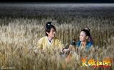 高清图：《笑傲江湖》霍建华陈乔恩麦田地暧昧